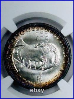 1949 P Booker T Washington Silver Half Dollar NGC MS65 Toned Only 6,004 Minted